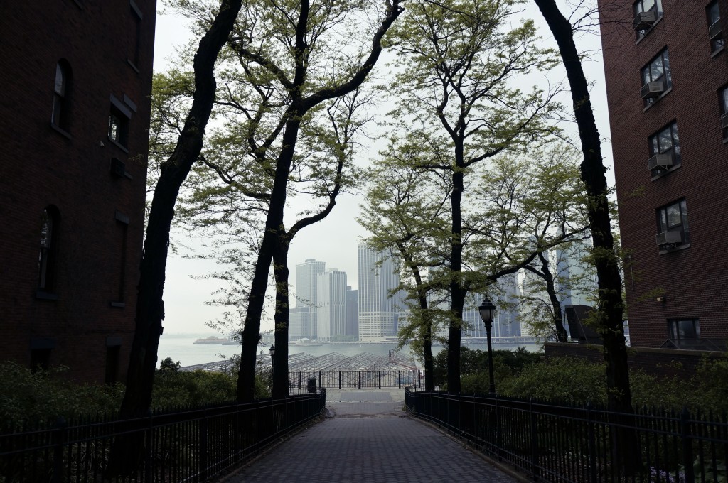 New York 13