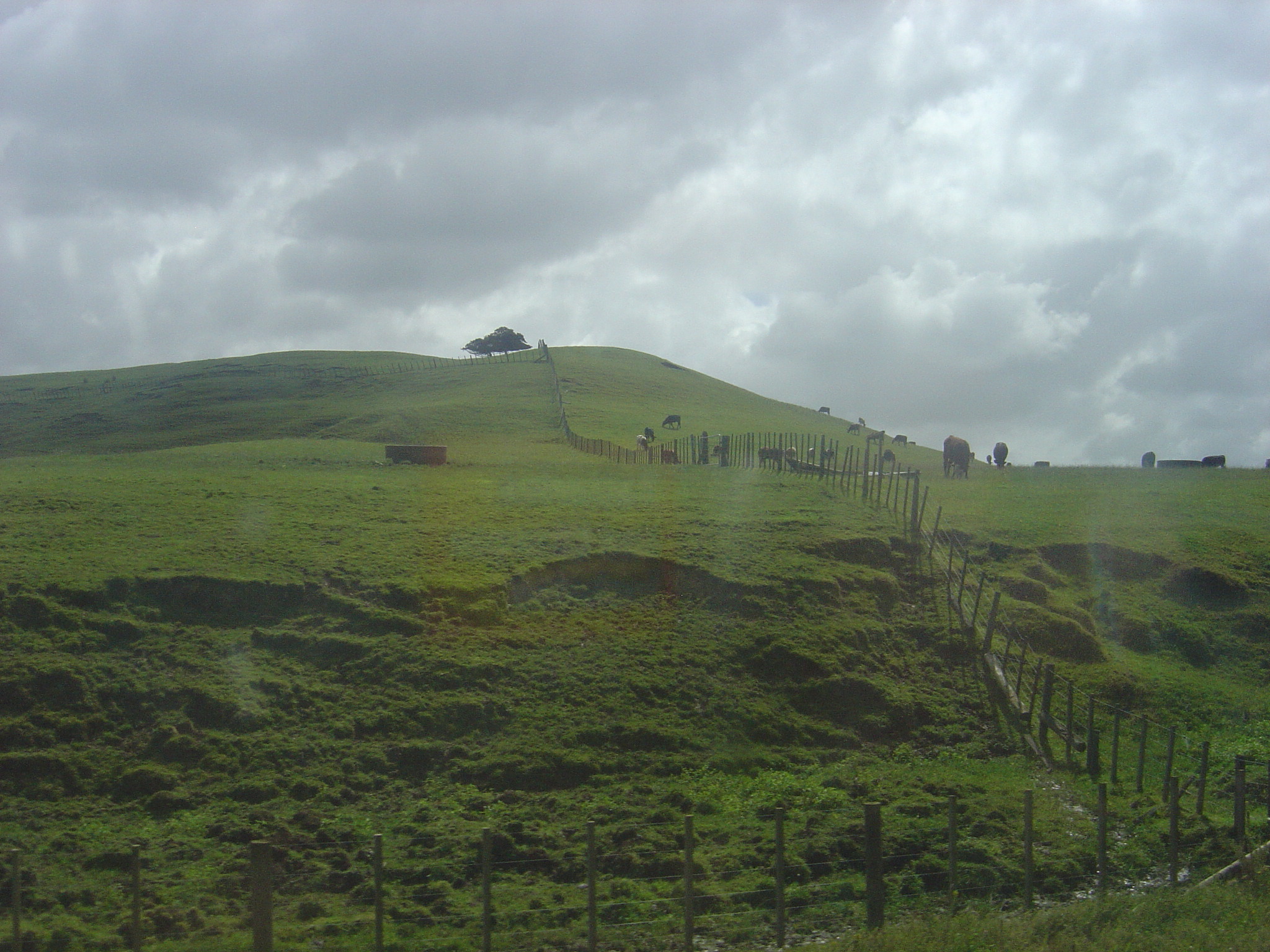 DSC03573