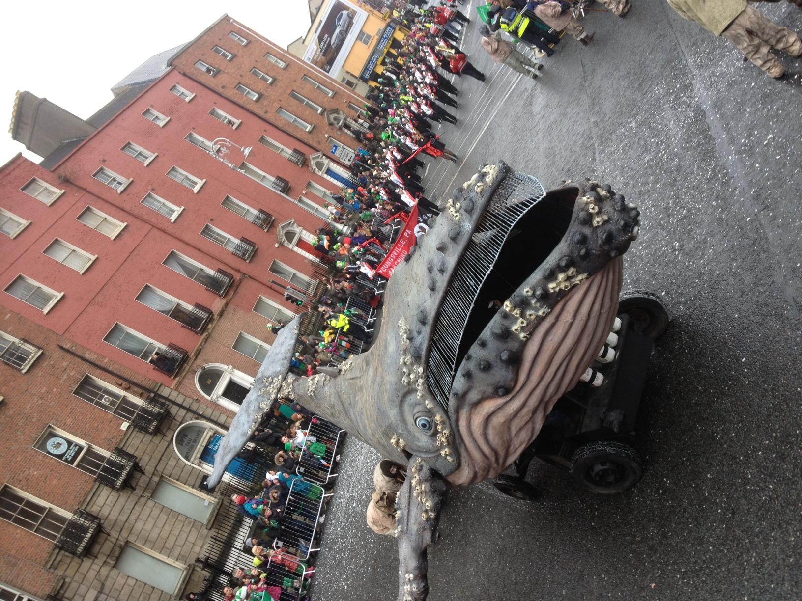 Baleine St Patrick
